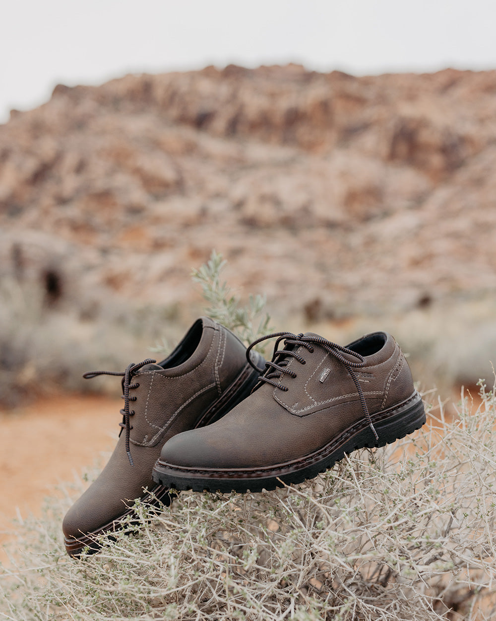 Erroll 50 - Men’s Shoe | Josef Seibel