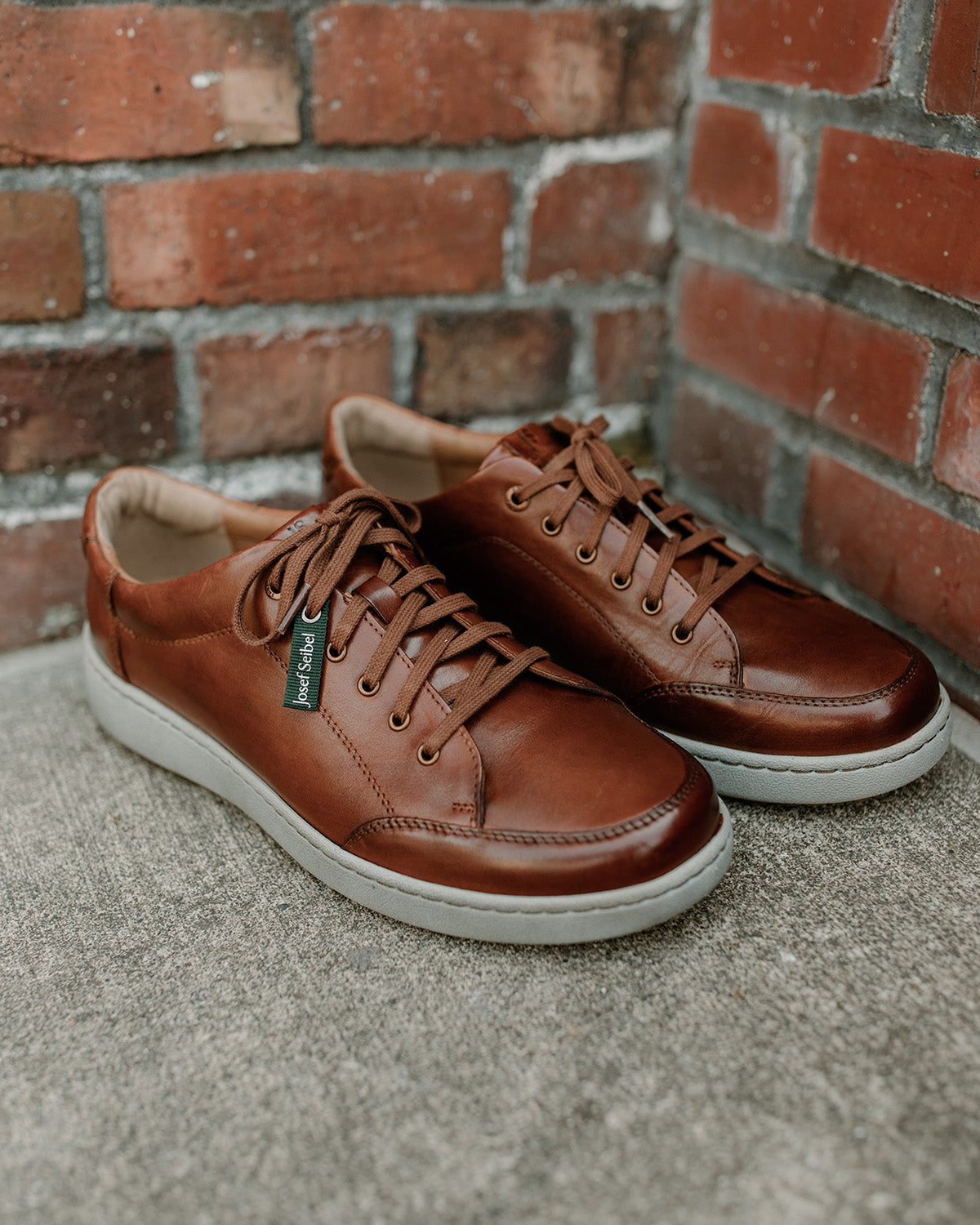 David 03 - Men's Sneaker | Josef Seibel