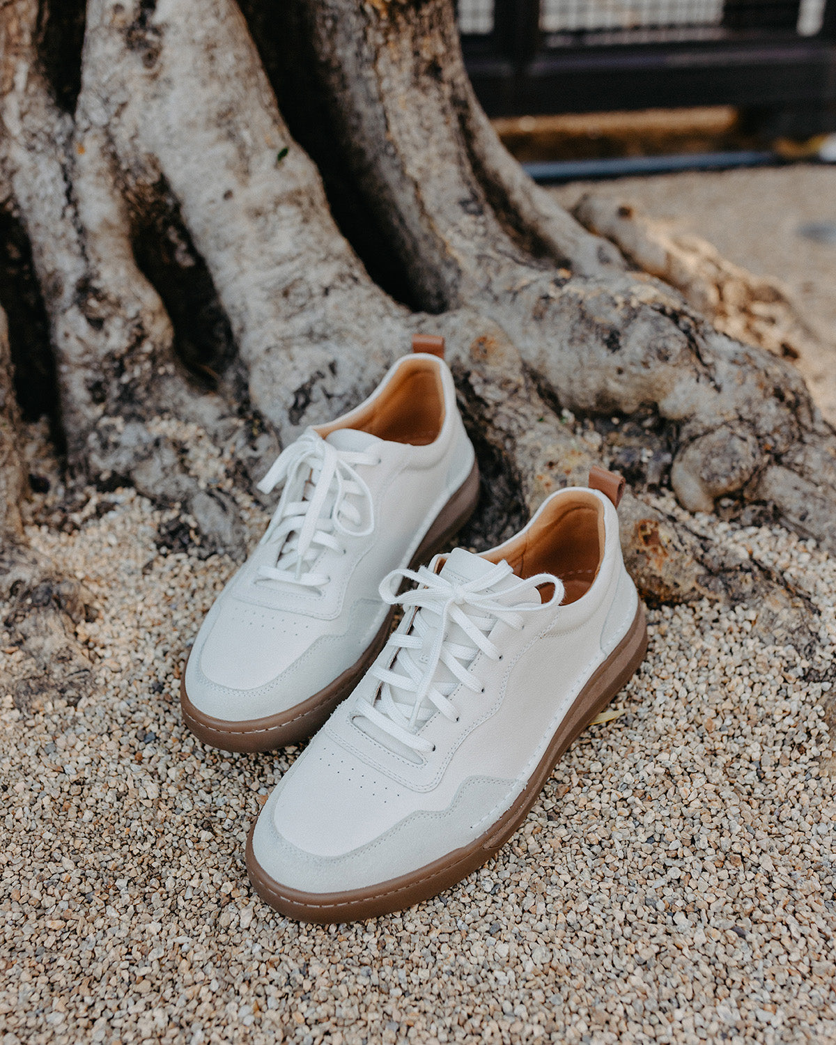 Cleve 01 - Men's Sneaker | Josef Seibel