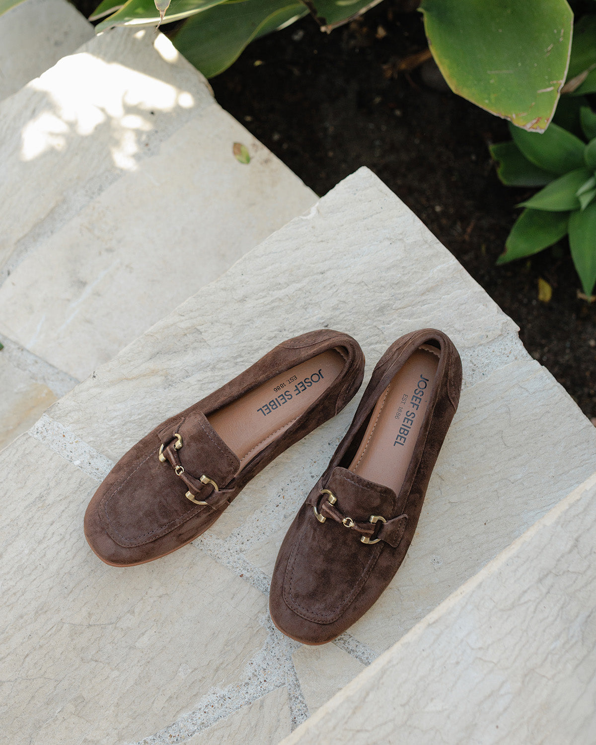 New Arrivals - Women Fall 25