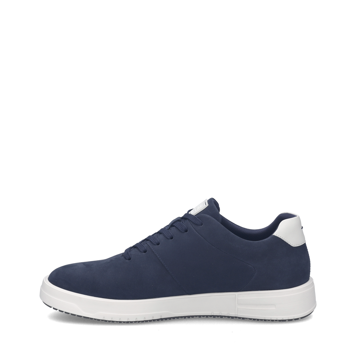 Donovan 01