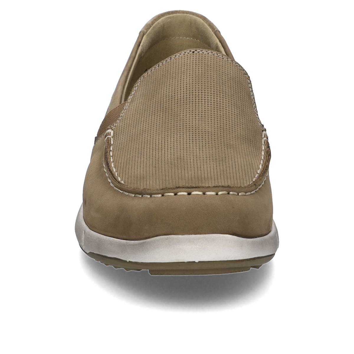Enrico 31
