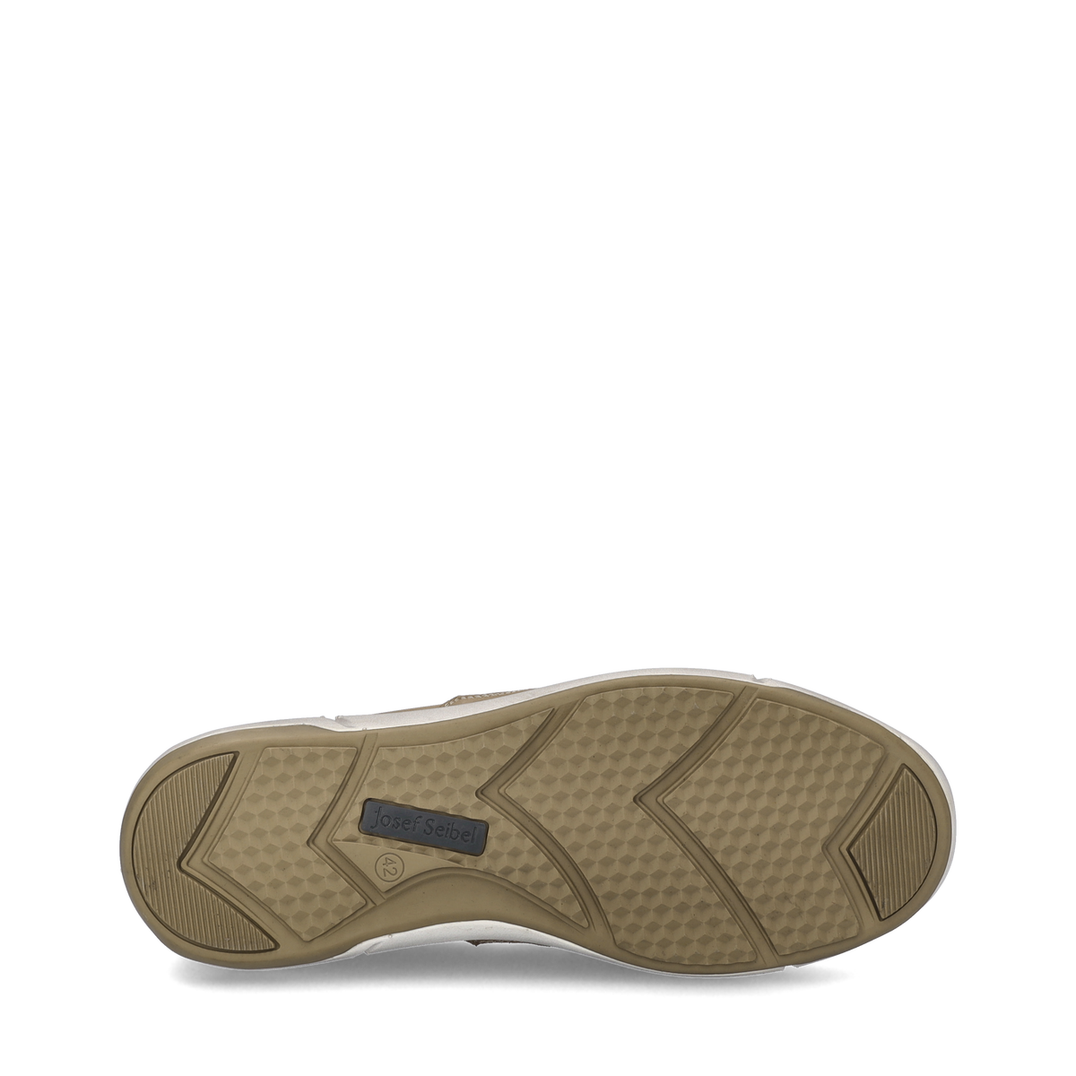 Enrico 31