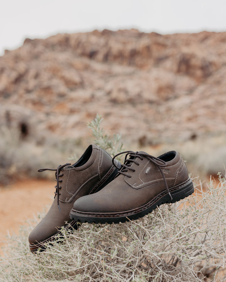 Erroll 50 - Men’s Shoe | Josef Seibel USA