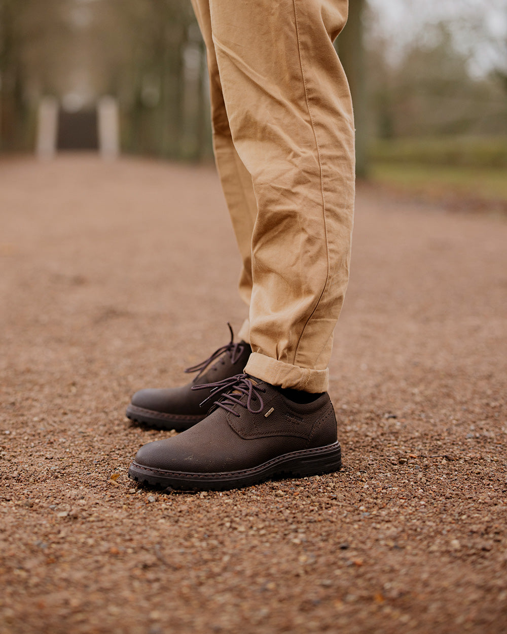 Erroll 50 - Men's Shoe | Josef Seibel