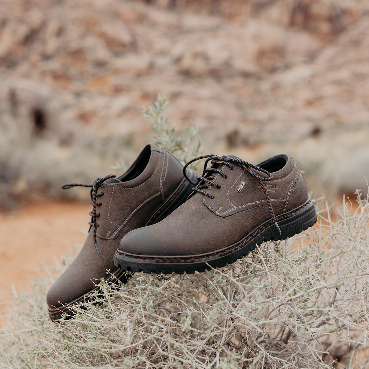 Men - Shoes | JOSEF SEIBEL USA - Official Store